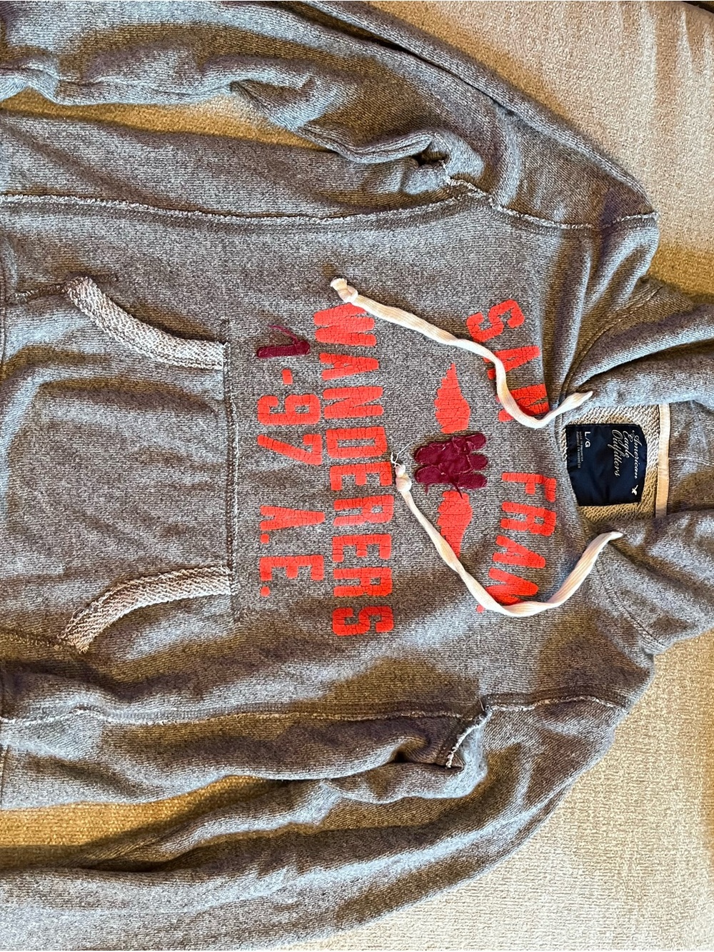 American Eagle Outfitters Gray Hoodie with Red Graphic